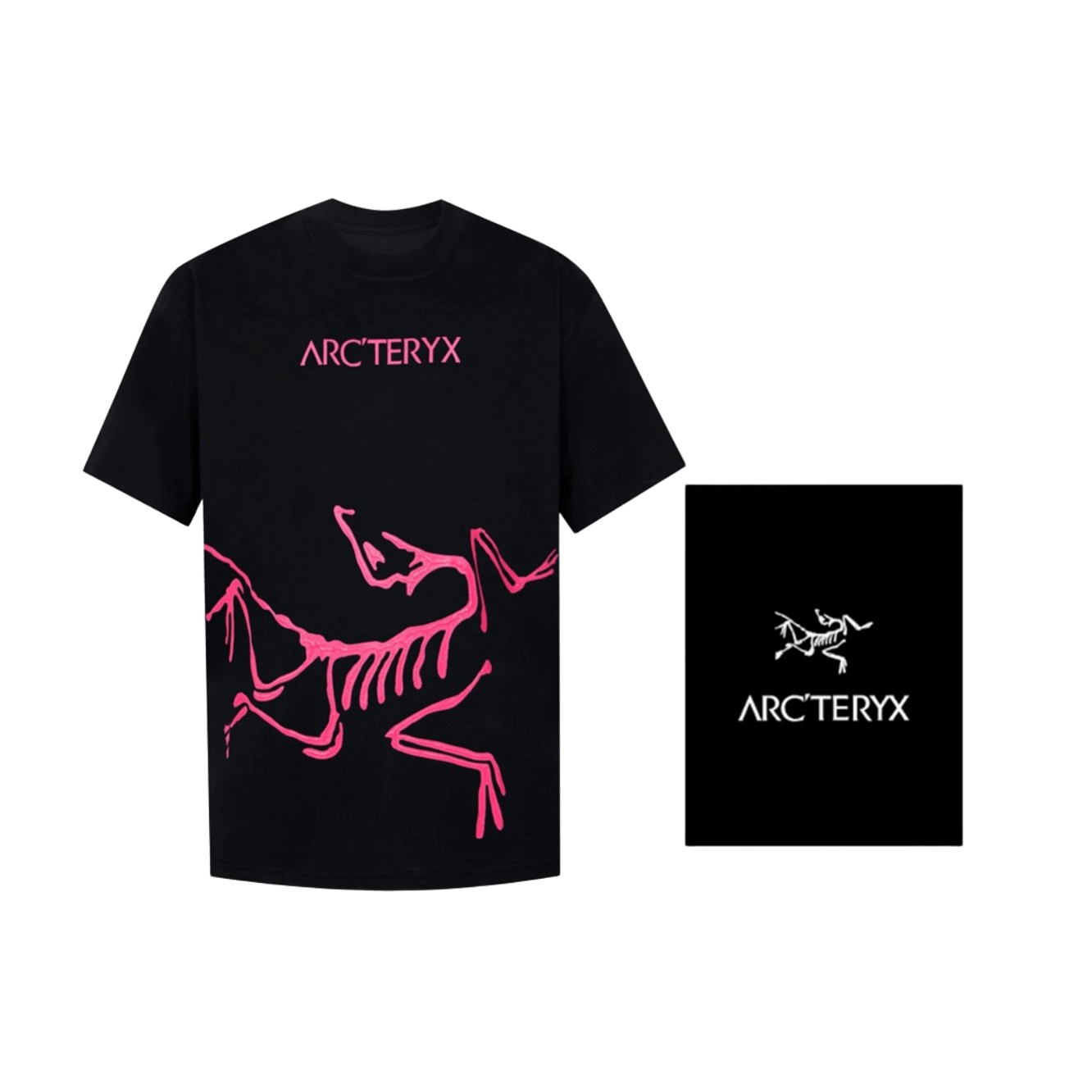 Arc'teryx Black T-Shirt: Dinosaur Graphic Tee