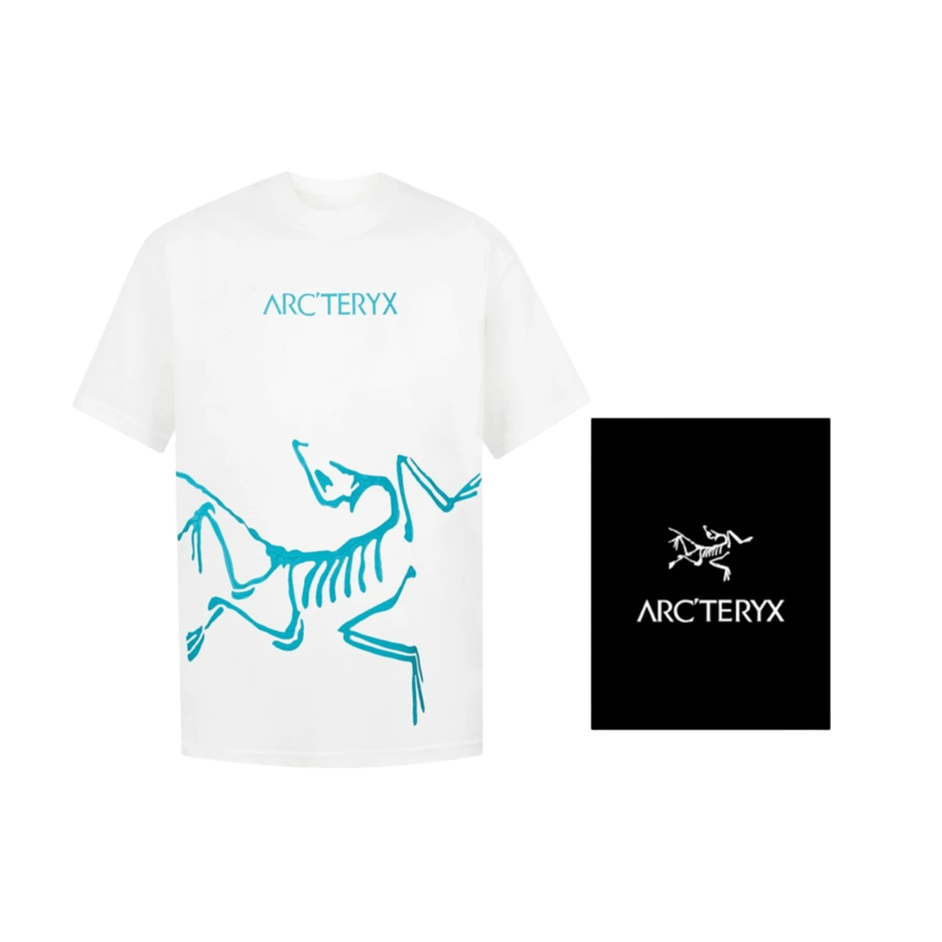 Arcteryx Cotton T-Shirt: Breathable Unisex Tee with Print