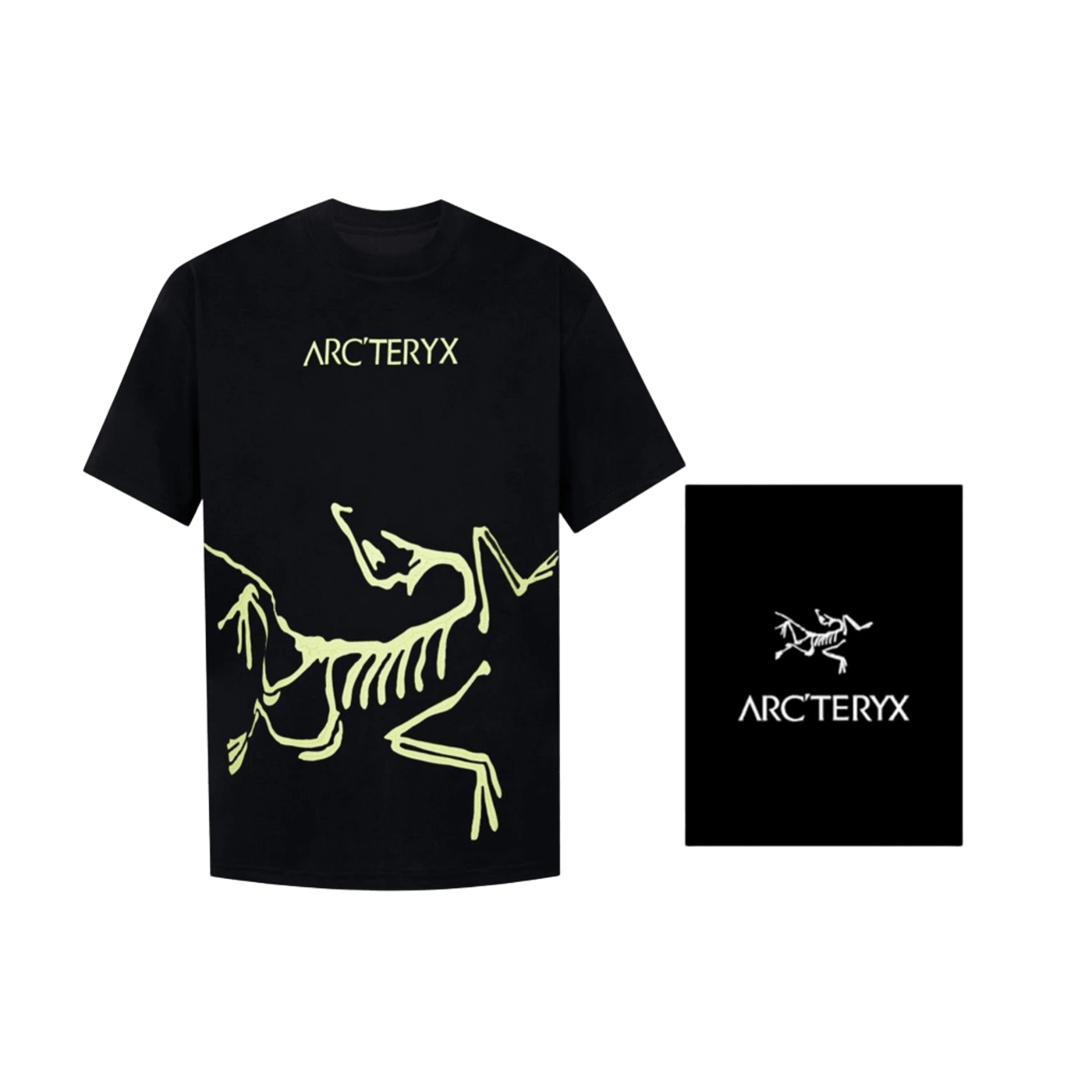 Arc'teryx Unisex Black T-Shirt: Cotton Tee with Logo