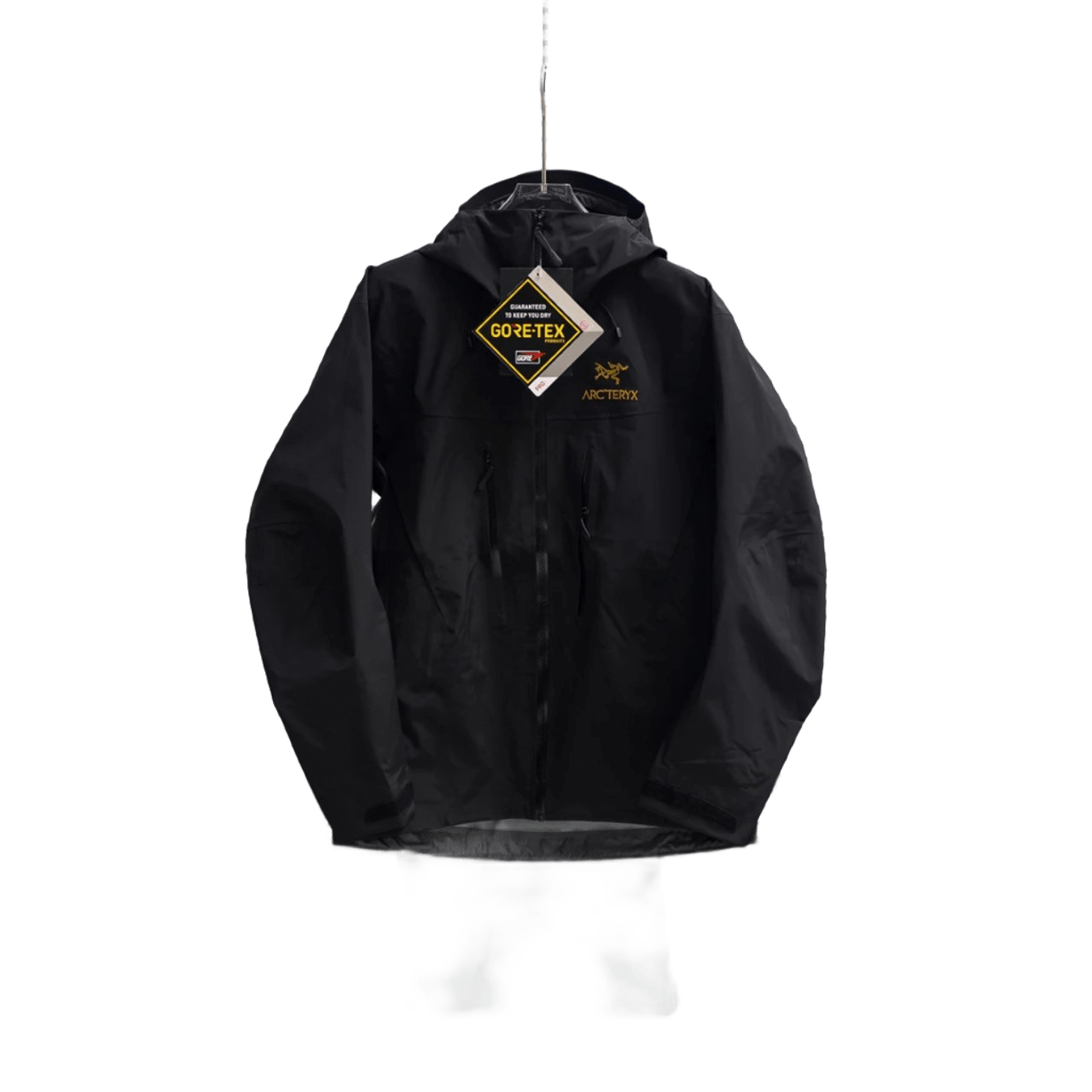 Arc'teryx Unisex GORE-TEX Hooded Jacket, Black