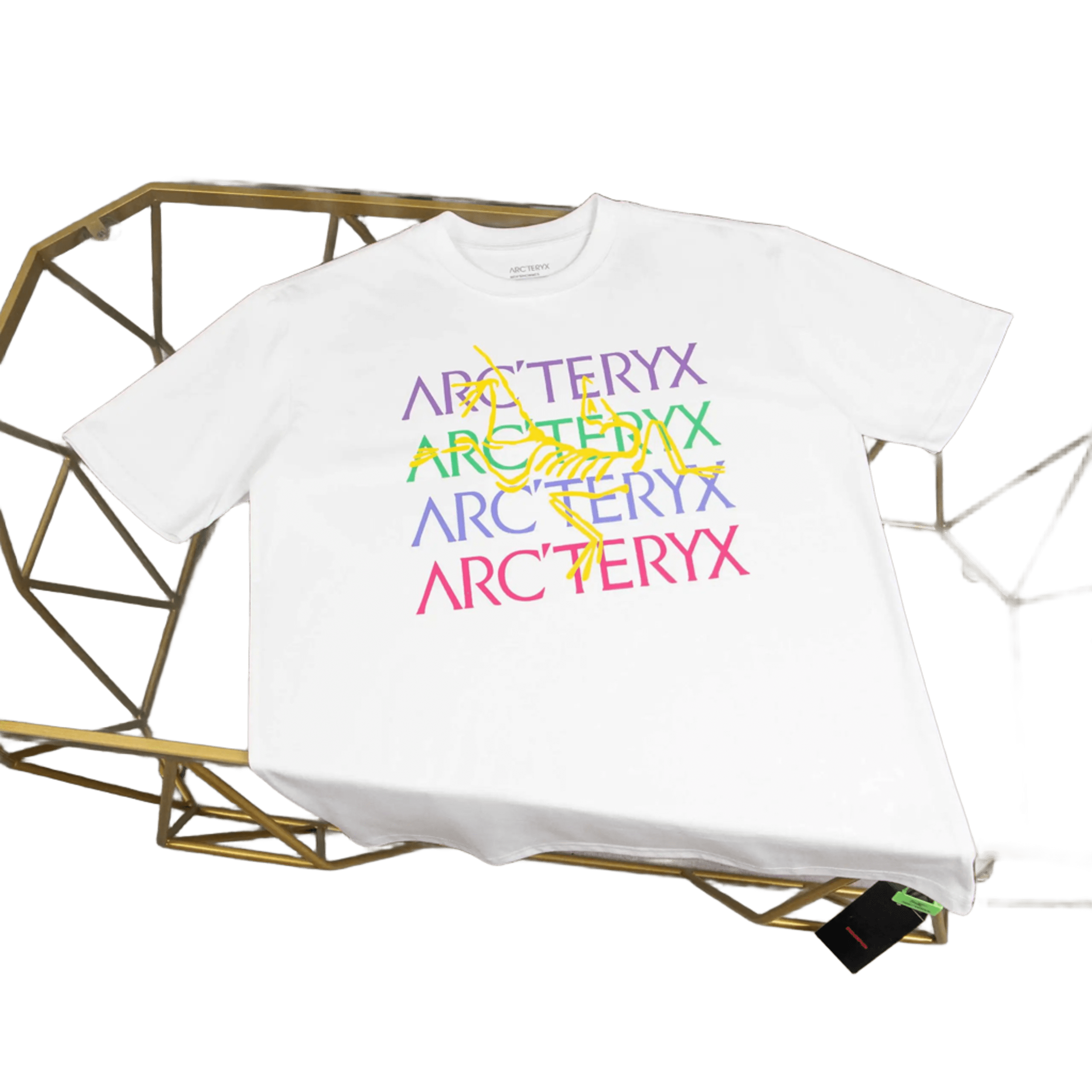 Arc'teryx Unisex White Cotton Tee Dinosaur Graphic Streetwear