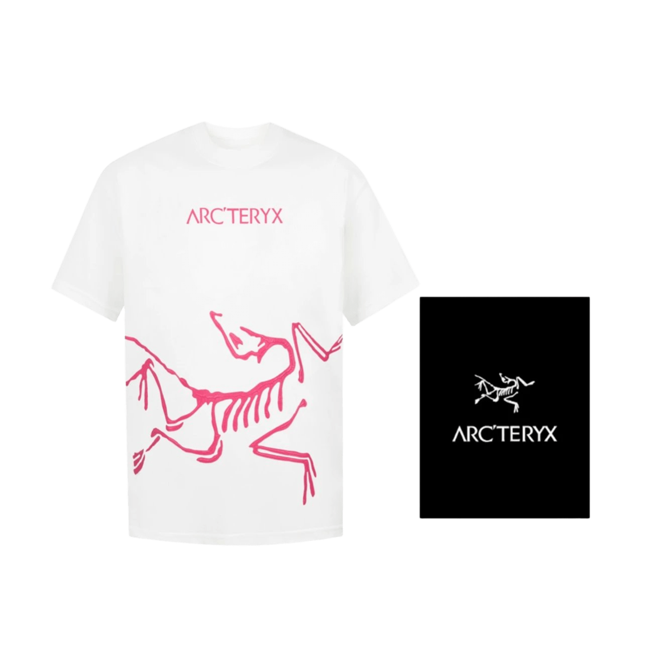 Arc'teryx White T-Shirt: Relaxed Fit, Breathable Cotton, Unisex