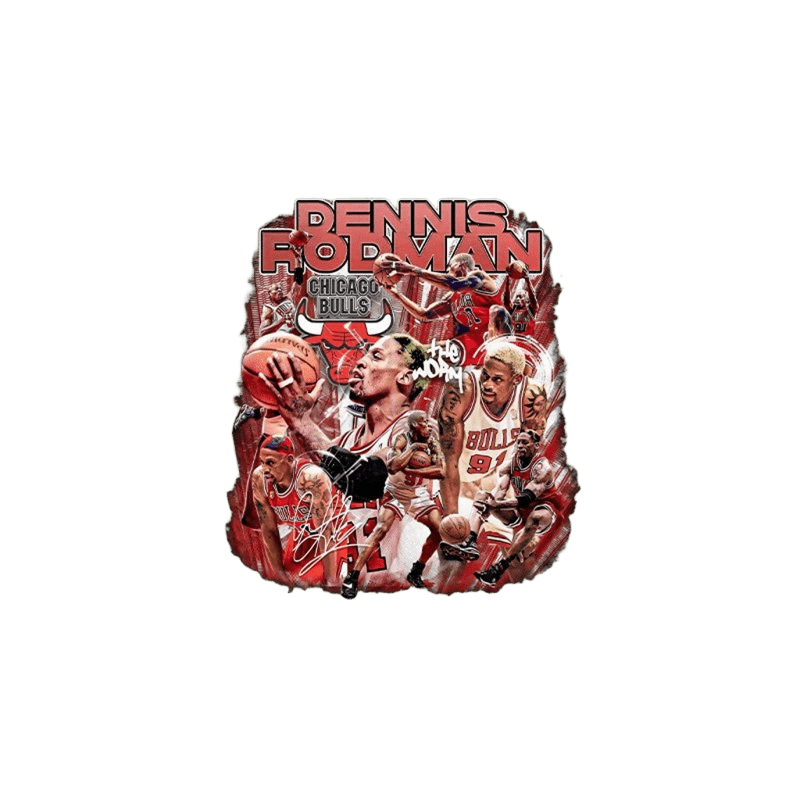 Vintage NBA Dennis Rodman Chicago Bulls T-Shirt - Unisex